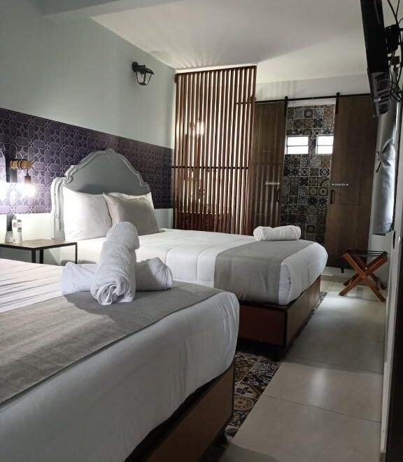 WhatsApp Image 2024-02-20 at 2.28.42 PM