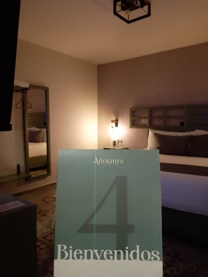 4fd704a0-235e-45f8-afbc-29e72f7c5132